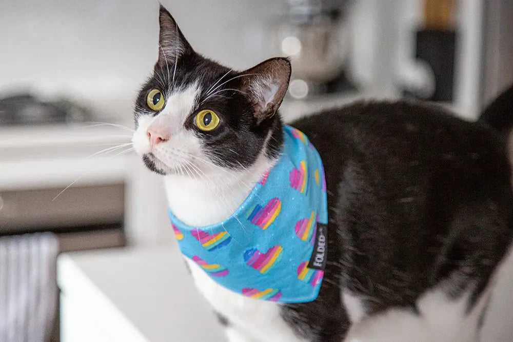 Cat or Croissant?' Dog Bandana