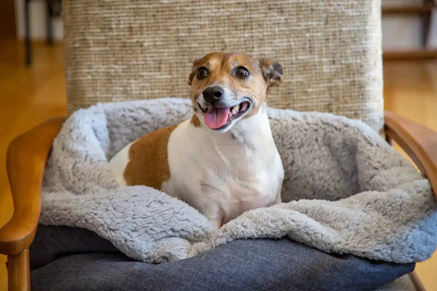 Pouch Dog Bed Pet Cave Bed for Dogs and Cats Shop Now