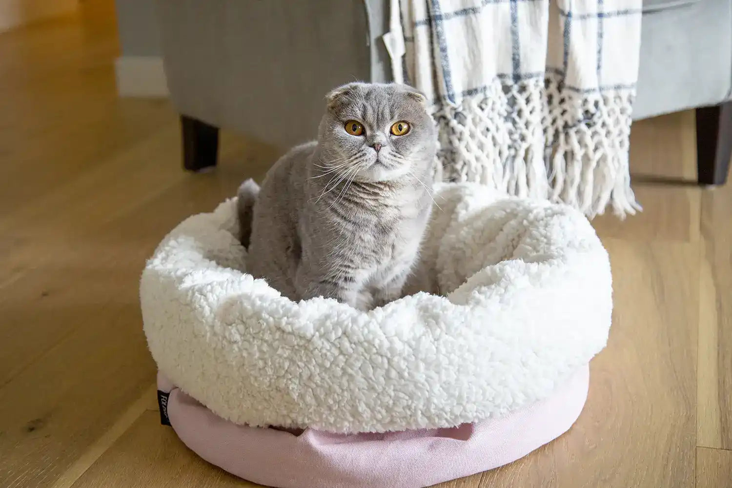 Cat pouch bed outlet