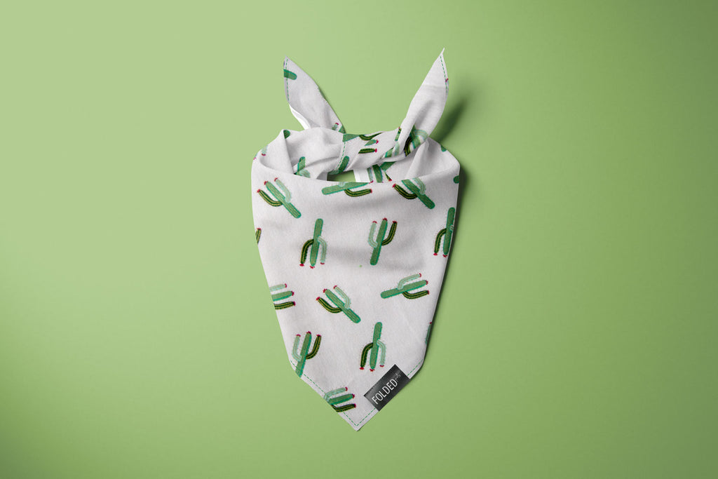 cactus cat bandana